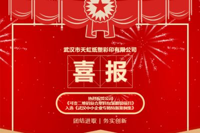 熱烈祝賀公司創(chuàng)新項目入選《武漢中小企業(yè)專精特新案例集》